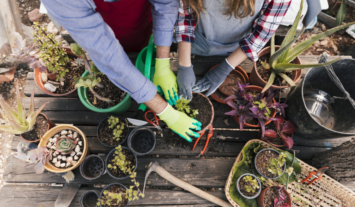 Alumnado en curso gratuito de floristería en Asturias realizando prácticas de arreglos florales en taller profesional